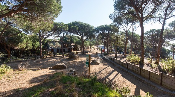 Parc forestier de Mataró
